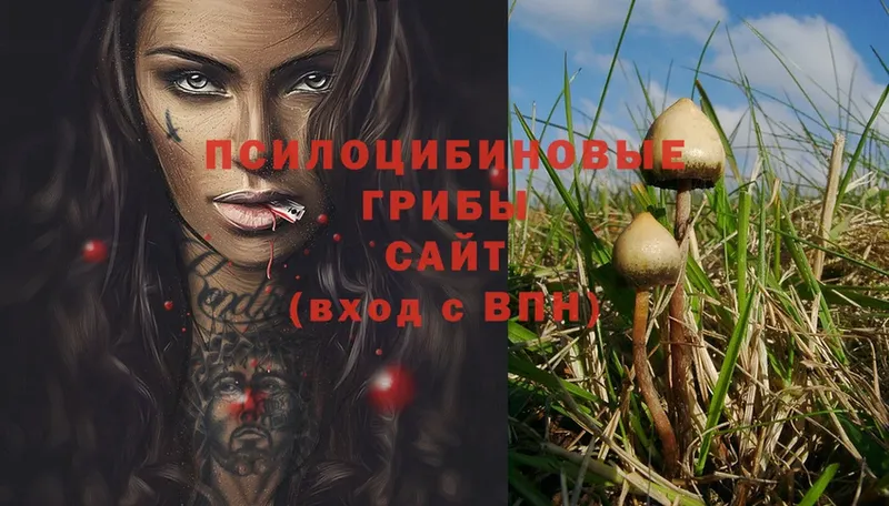 Галлюциногенные грибы Psilocybe  Бахчисарай 